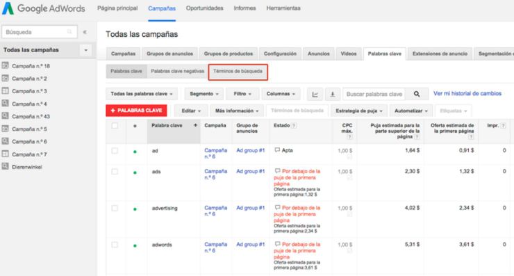 Informe términos de busqueda