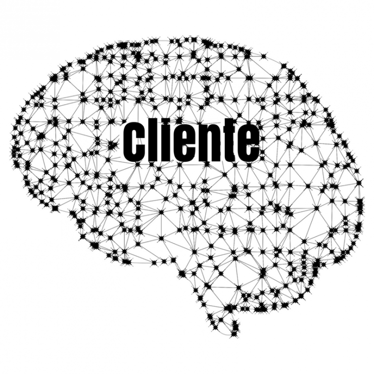 inteligencia-cliente-seo-agencia 