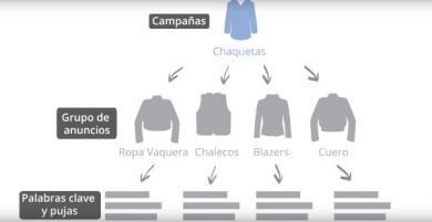 ¿Cómo puedo organizar mi cuenta? 2